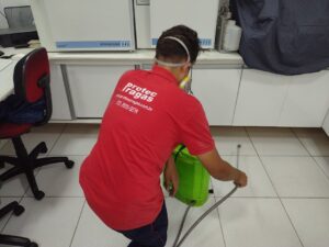 Descupinização na lapa - São Paulo
